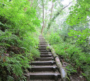 Lydford Gorge