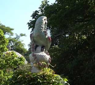 Botanischer Garten München