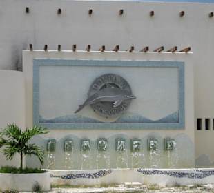 Delpinarium auf Cozumel