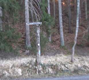 Wanderung rund um den Ochsenweiher