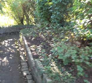 Botanischer Garten