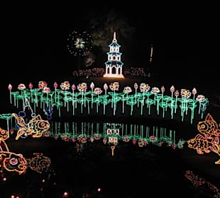 Magic Christmas in Lights