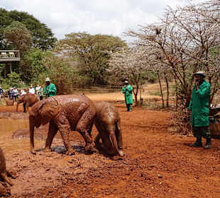 Schlamm baden, machen sie gern