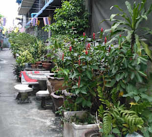 Mit Green Mango das ursprüngliche BKK entdecken.