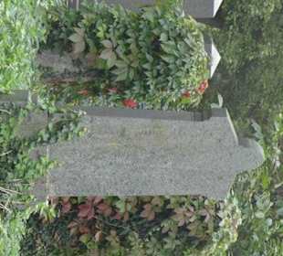 Jüdischer Teil des Zentralfriedhofes