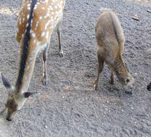 WP LH Herbst Impression