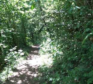 Wanderweg Sieben-Täler-Runde 