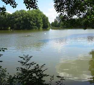 Impressionen vom Echternacher See