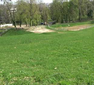 Parkanlage Villa Berg