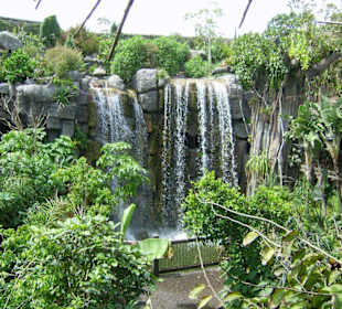 Wasserfall im Jungle