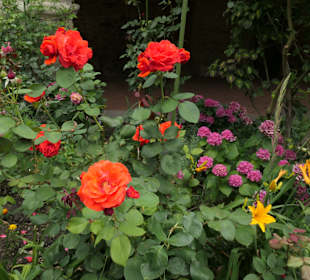 Entspannung im Kreuzgang von St. Maria im Kapitol