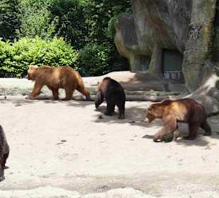 Tierpark Hagenbeck