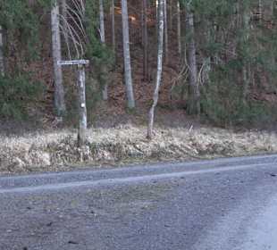 Wanderung rund um den Ochsenweiher
