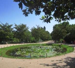 Entrée des Botanischen Gartens von Tours