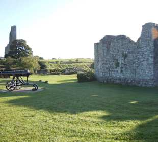 Trim Castle