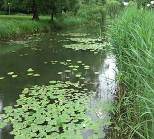 Forellenbächle Glacis Park
