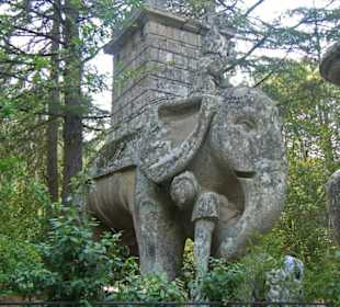 Elefant