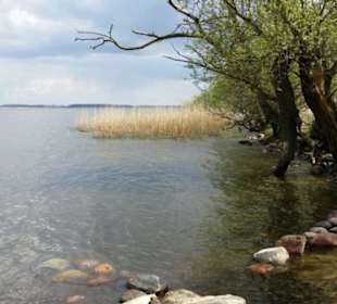 Mit der Insel Safari am Peenestrom