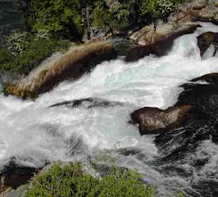 Rheinfall von Schaffhausen 