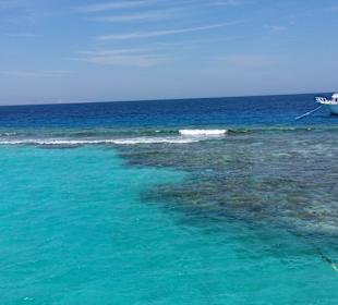 Ausflug zu den Delfinen