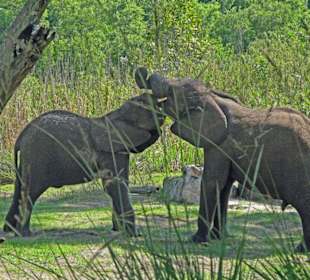 Ich bin aber stärker.