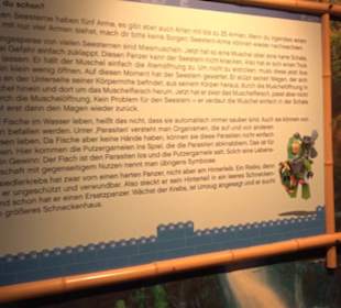  Lego X-Treme - Legoland Atlantis by SEA LIFE