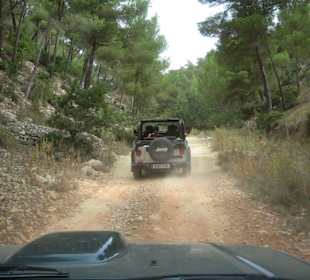 Unterwegs bei der Safari-Tour