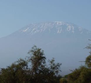 Kilimanjaro