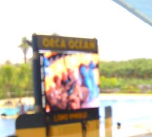 Ausflüge. Loro Park