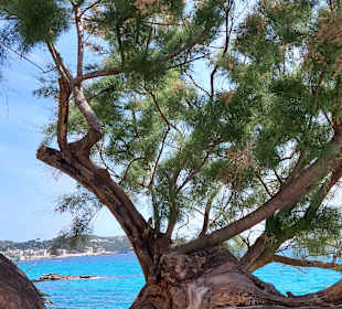 Wandern Cala Ratjada