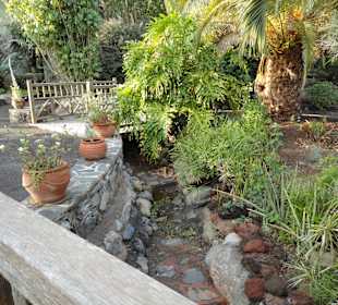Parque Botánico de Maspalomas