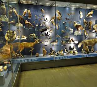 Abteilung "Naturschätze Thüringens"