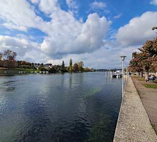 Hafen Stein am Rhein