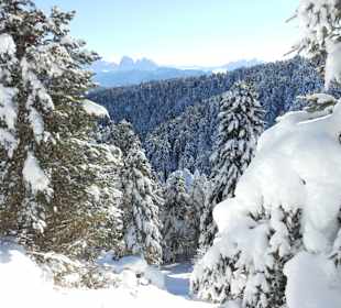 Villander Alm
