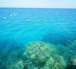 Kristallklares Wasser