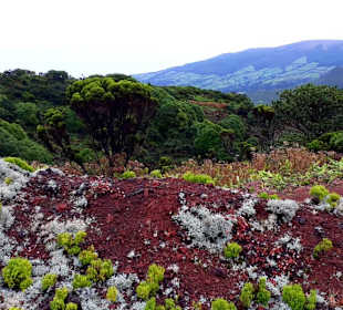 Inselrundfahrt Faial