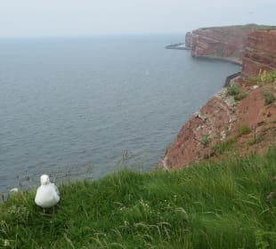 Kleine aber schöne Wanderung auf Helgoland
