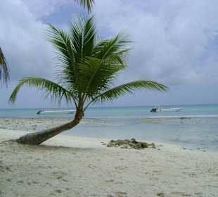 Traumhafte Fotokulisse