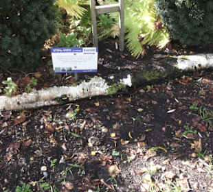 Kneipp`scher Sinnesgarten