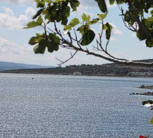 Ausblick von der Küstenstraße
