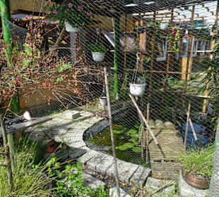 Außenbereich des Restaurant Pho Viet