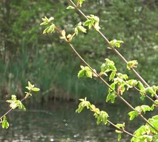 Naturerlebnisweg des NABU-Metzingen