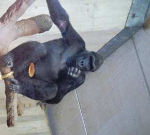 Washington Zoo