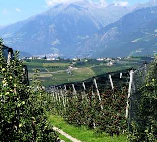 Eine Runde um die Plantagen
