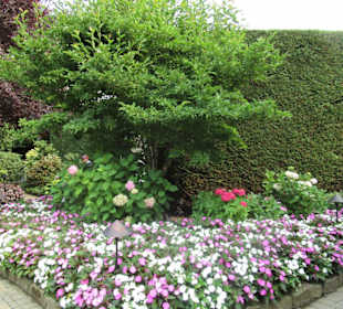 Im Butchart Garden unterwegs