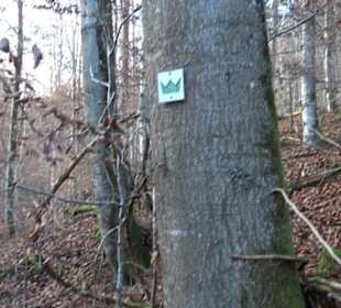 Schönbuch Schaichtal