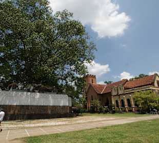 Park przed Świątynią w Candy