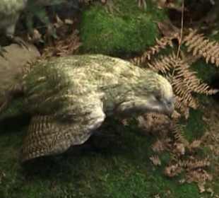 Naturhistorisches Museum