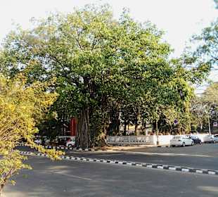 Panaji