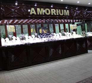 Abendliche Ansicht des Amoriums